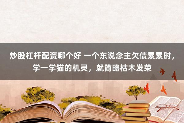 炒股杠杆配资哪个好 一个东说念主欠债累累时，学一学猫的机灵，就简略枯木发荣