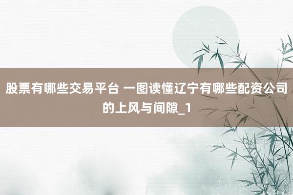 股票有哪些交易平台 一图读懂辽宁有哪些配资公司的上风与间隙_1